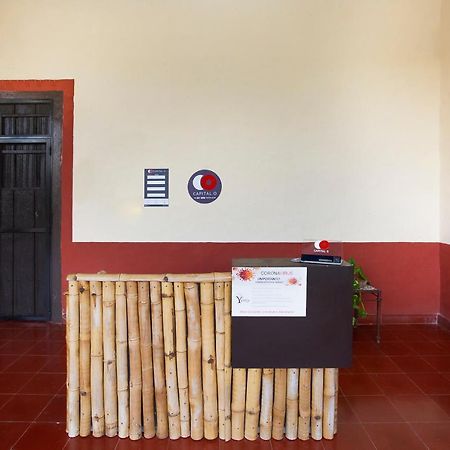 Capital O Hacienda Yunku Hotel, Yucatan 梅里达 外观 照片